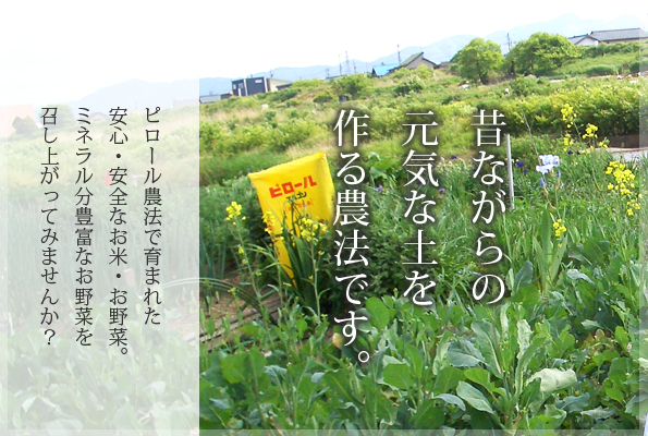 ピロール農法 ピロール農法